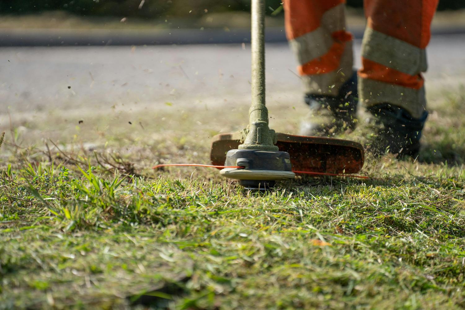 Photo of garden service or another local service business